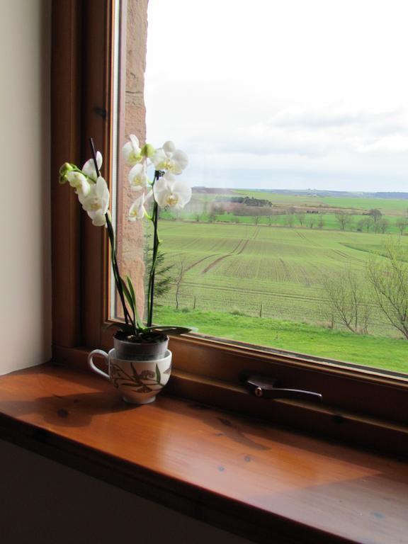 Bed & Breakfast Kescoweth Montrose
